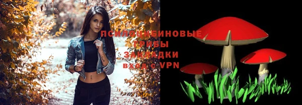 хмурый Сафоново
